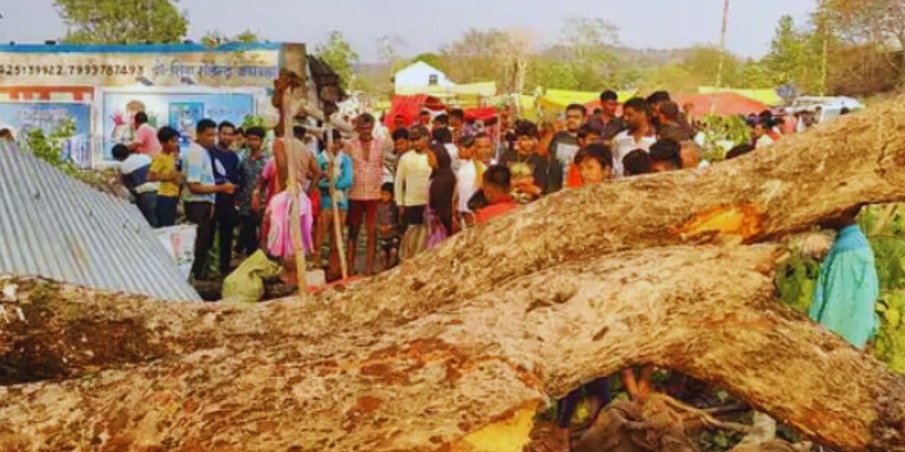 रामनगर साप्ताहिक बाजार में गिरा विशालकाय पेड़, दो महिलाओं की मौत, 36 घायल, मची चीख पुकार, भगदड़