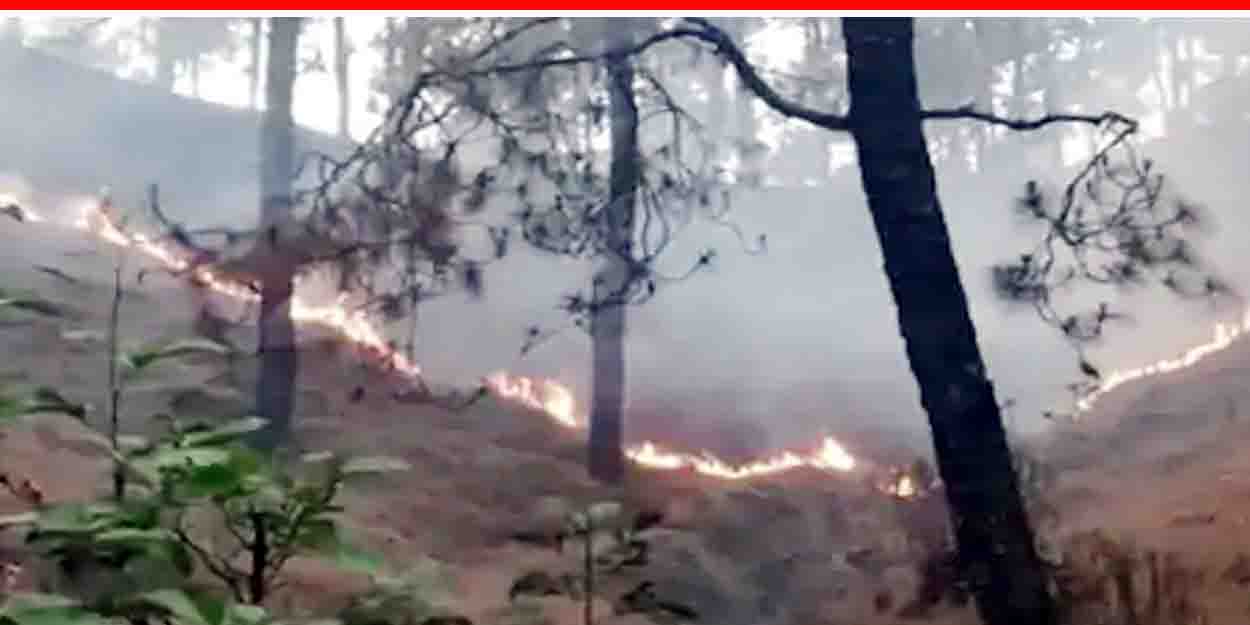 उत्तराखंड: रिकॉर्ड तोड़ने की ओर बढ़ रही है जंगल की आग, वन विभाग ने छुट्टियों पर लगाई रोक