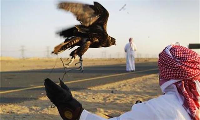इमरान ने अंतर्राष्ट्रीय नियम को रखा ताक पर, पाक में दुबई के शाही परिवार को बैन हुबारा पक्षी के शिकार की अनुमति दी