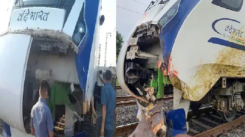 तीसरी बार मवेशी के टकराने से दुर्घटनाग्रस्त हुई वंदे भारत ट्रेन, टूटा इंजन का नोज कॉन कवर

