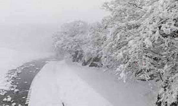 बर्फीले तूफान से जापान में हाहाकार मचा, 14 लोगों की मौत, 87 घायल