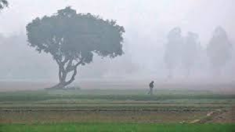 मौसम विभाग ने जारी किया उत्तर और मध्य भारत के लिए गंभीर शीतलहर का अलर्ट