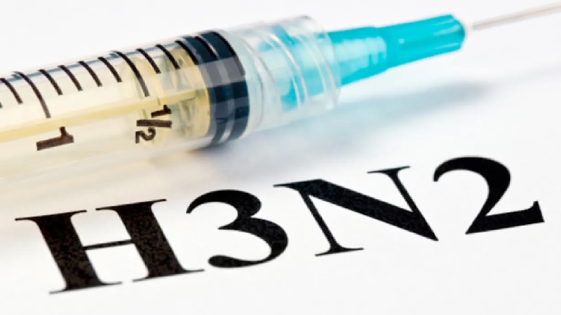हरियाणा-कर्नाटक में इन्फ्लूएंजा H3N2 से संक्रमित दो मरीजों की मौत, डॉक्टरों ने जारी किया अलर्ट