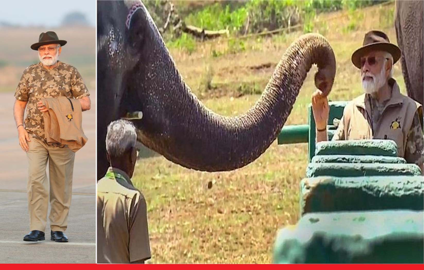 पीएम मोदी ने बांदीपुर टाइगर रिजर्व में जंगल सफारी का उठाया आनंद, हाथियों को खिलाया गन्ना